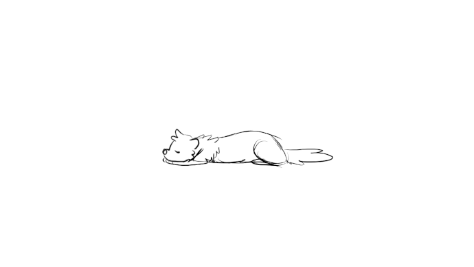 ferret stretch