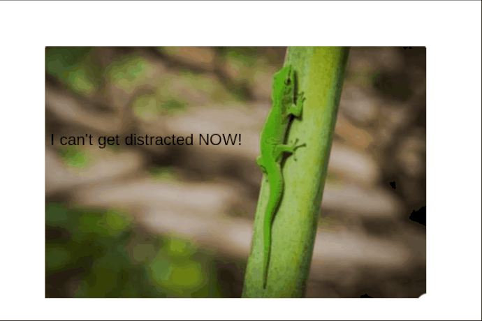 My Project10-25-2025_17-52-51