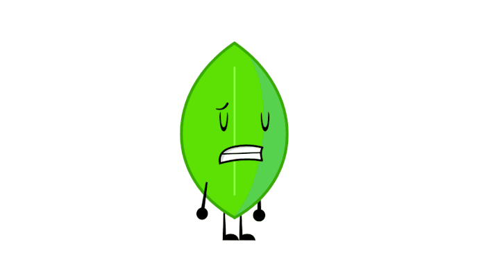 holy leaf5-1-2026_16-24-44