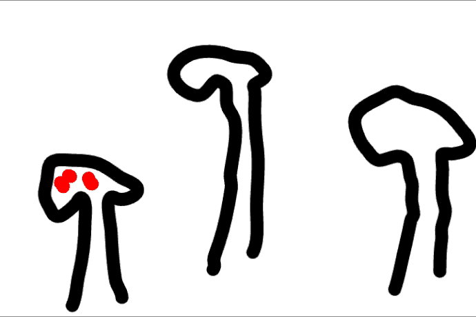 My Project9-9-2025_10-28-55