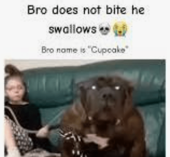 Screenshot 2025-12-13 8.39.35 PM