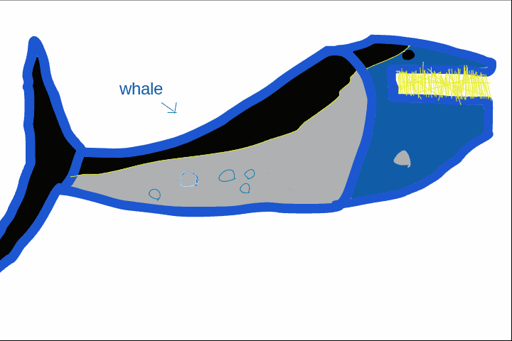 My Project11-10-2025_17-01-16