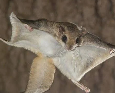 Screenshot 2026-02-12 10.33.44 PM