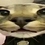 Limeelon Limeelon