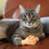 monocle_enjoyer